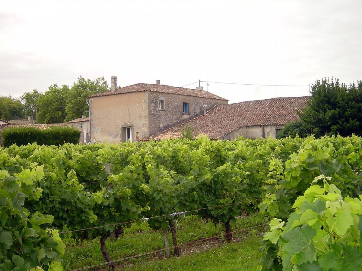 Chai Crann Piorra Saint-Genes-de-Blaye Exterior foto